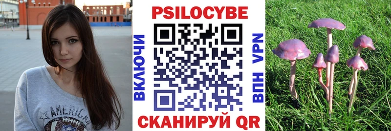 Псилоцибиновые грибы мицелий  Устюжна 